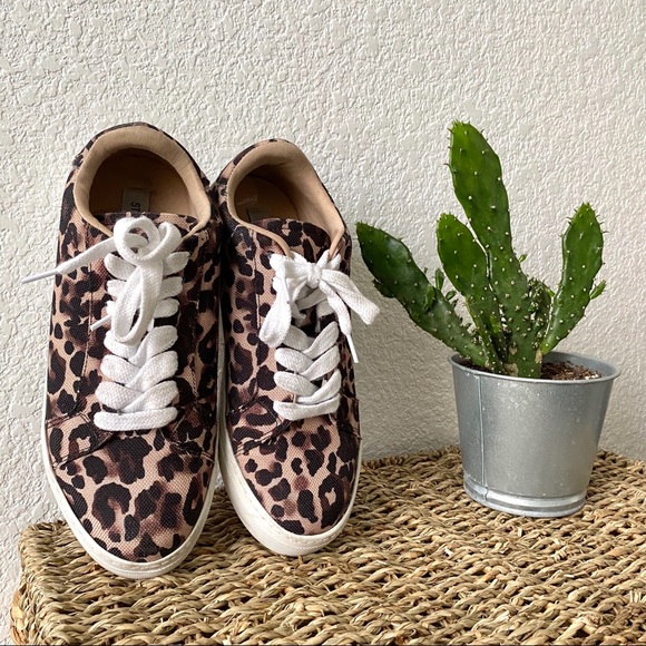 steve madden leopard tennis